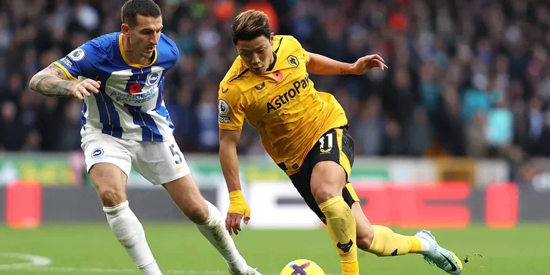 doi-hinh-du-kien-tu-cac-chuyen-gia-soi-keo-wolves-vs-brighton