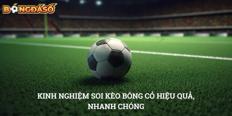 Soi kèo bóng cỏ Kinh nghiệm soi kèo bóng cỏ hiệu quả, nhanh chóng