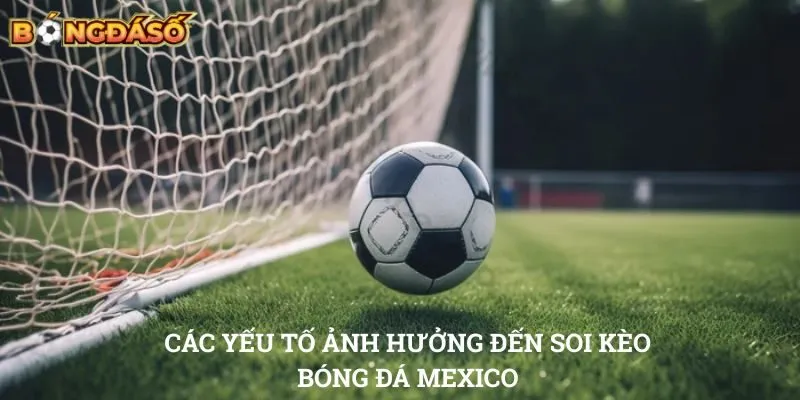 Soi kèo bóng đá Mexico Các yếu tố ảnh hưởng đến soi kèo bóng đá Mexico