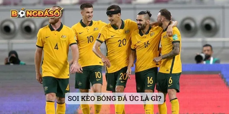 Soi kèo bóng đá Úc là gì? Soi kèo bóng đá Úc là gì?