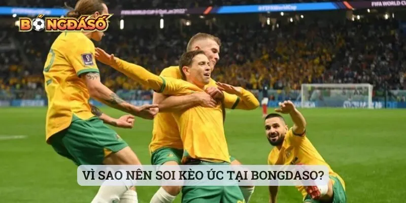 Vì sao nên soi kèo Úc tại bongdaso? Vì sao nên soi kèo Úc tại bongdaso?