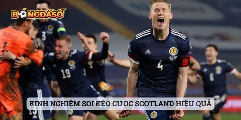 Kinh nghiệm soi kèo cược Scotland hiệu quả Kinh nghiệm soi kèo cược Scotland hiệu quả