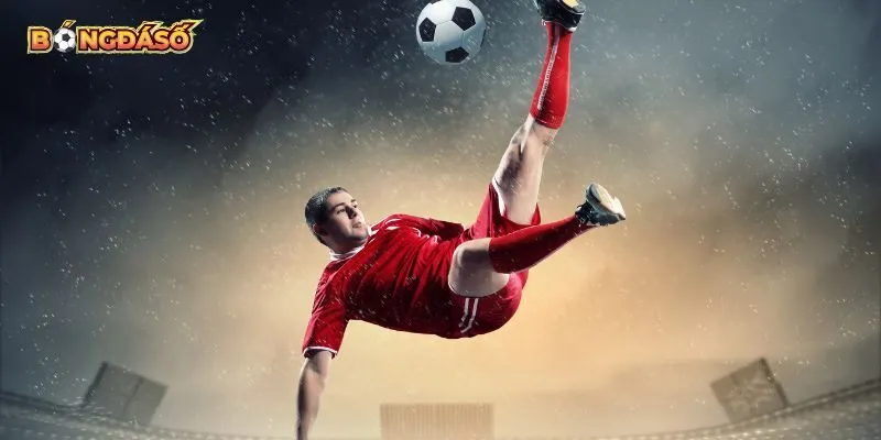 Áp dụng những mẹo vặt bổ ích khi soi kèo Vleague Áp dụng những mẹo vặt bổ ích khi soi kèo Vleague